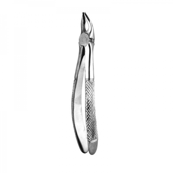 Apical Retention Forceps THM-12004