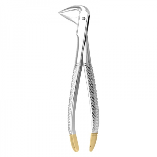 English Pattern Forceps THM-90002