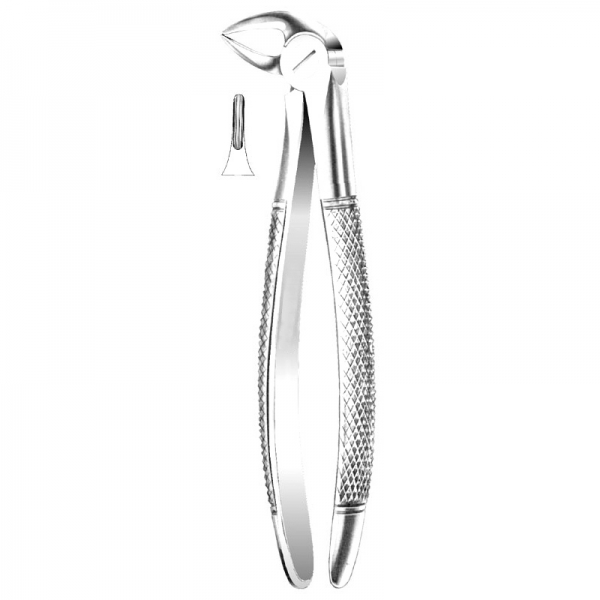 English Pattern Forceps THM-90003