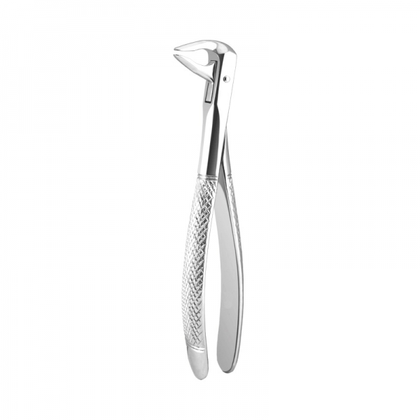 English Pattern Forceps THM-90004