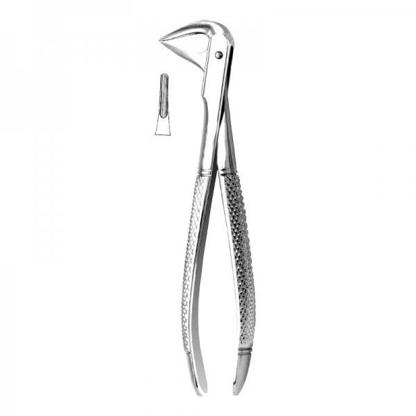 English Pattern Forceps THM-90005