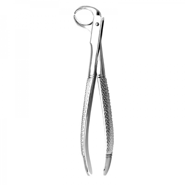 English Pattern Forceps THM-90007