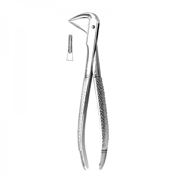 English Pattern Forceps THM-90014