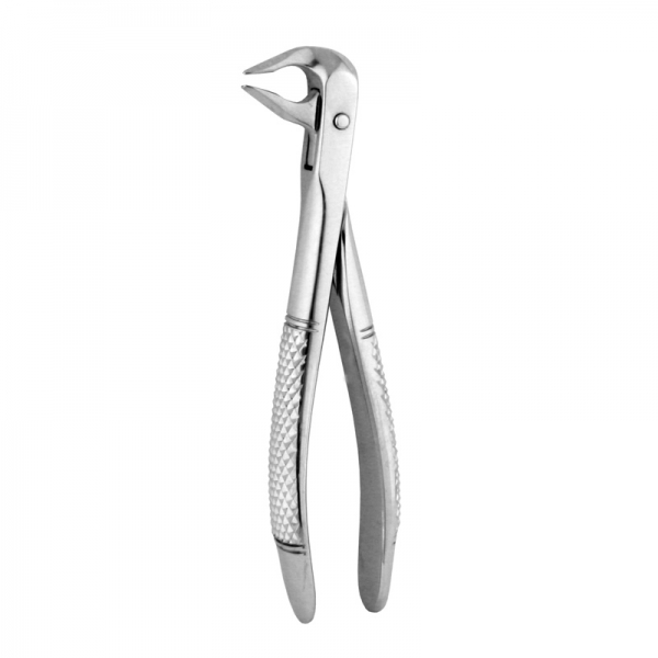 English Pattern Forceps THM-90018