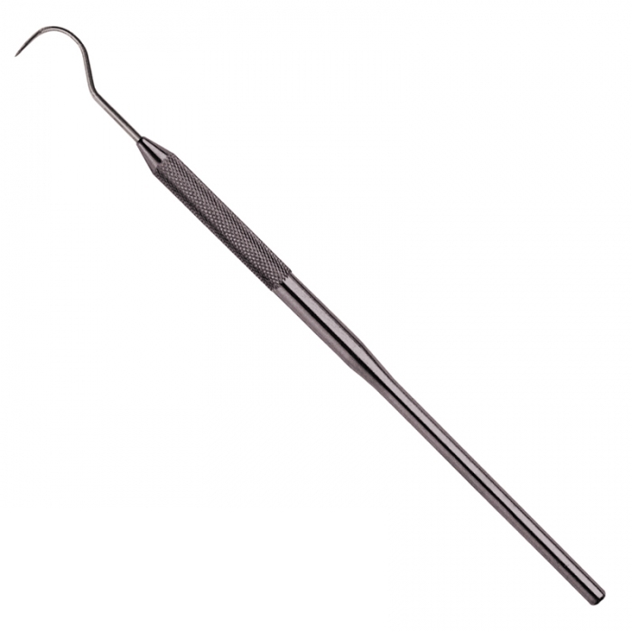 Explorers - Probs THM-17009