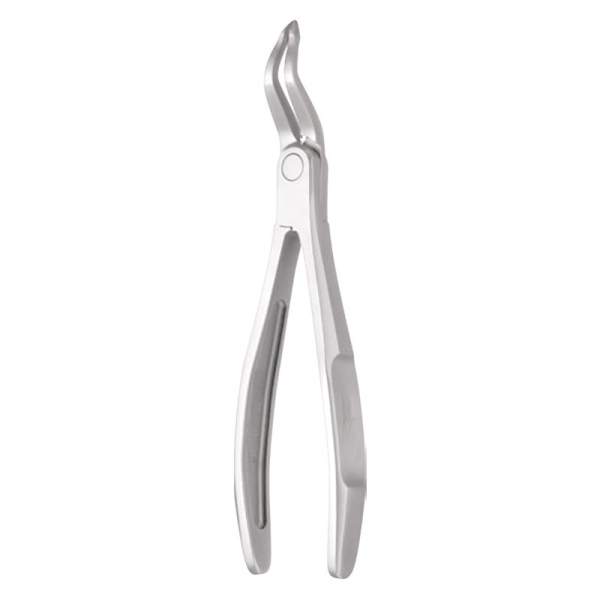 Root Forceps THM-47001