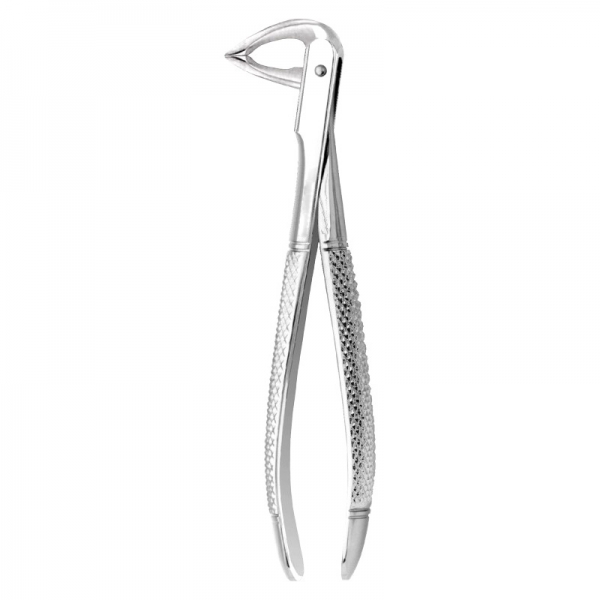 Root Forceps THM-47002