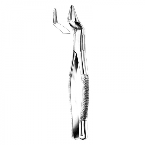 Root Forceps THM-47007