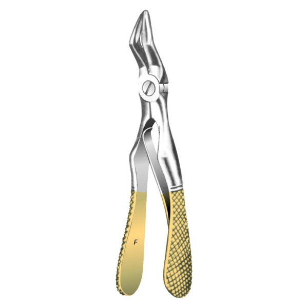 Root Forceps THM-47009