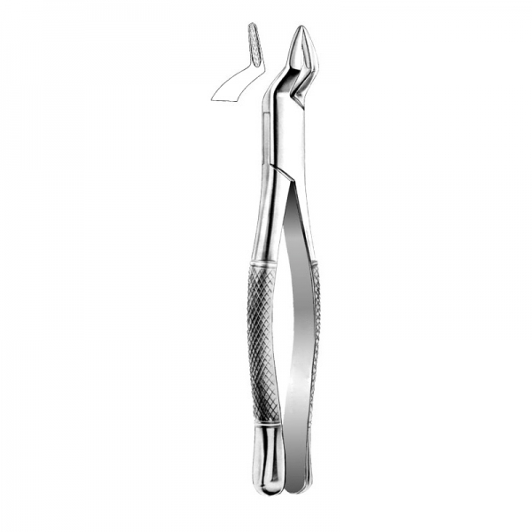 Root Forceps THM-47012