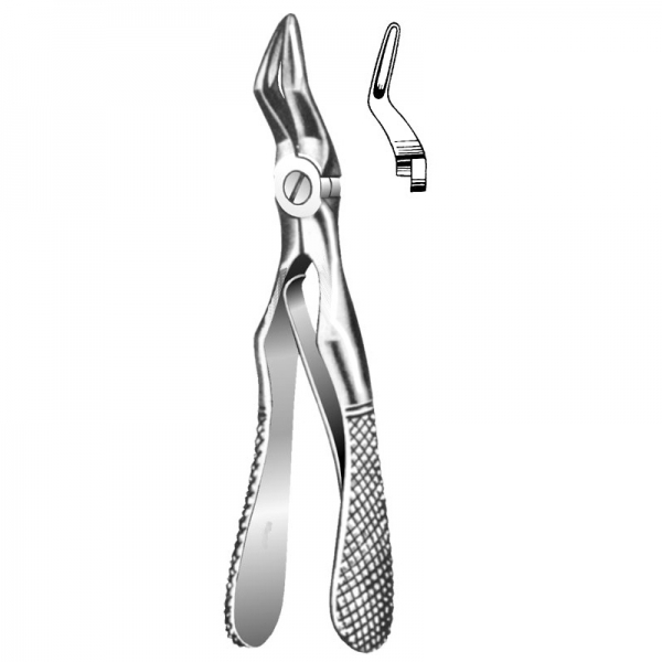 Root Forceps THM-47014