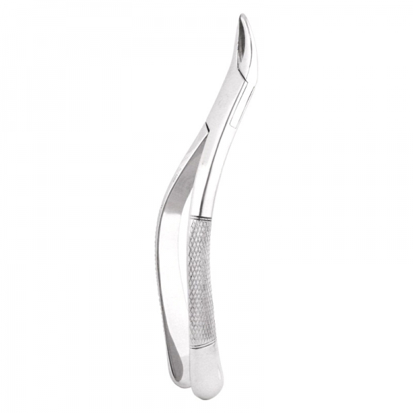Root Forceps THM-47018