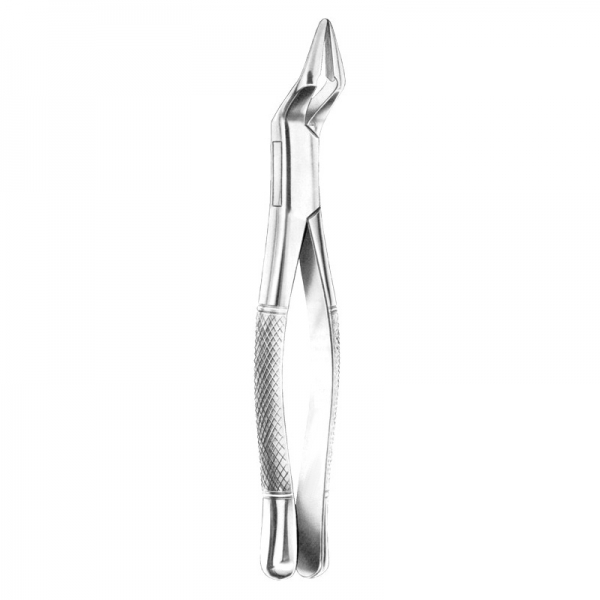 Root Forceps THM-47023