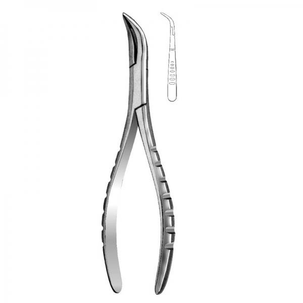 Root Forceps THM-47024