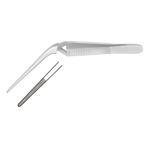 Alligator & Ear Forceps THM-ENT-2014
