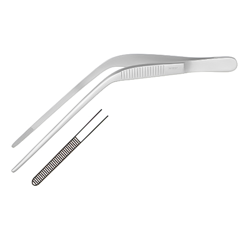 Alligator & Ear Forceps THM-ENT-2015