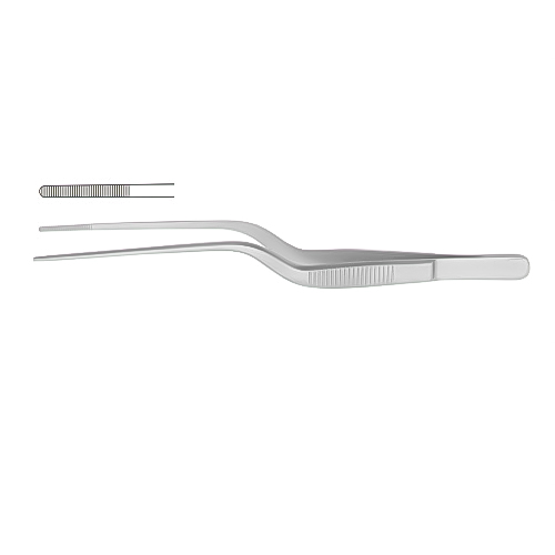 Alligator & Ear Forceps THM-ENT-2018