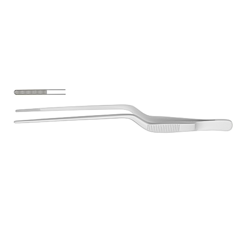 Alligator & Ear Forceps THM-ENT-2019